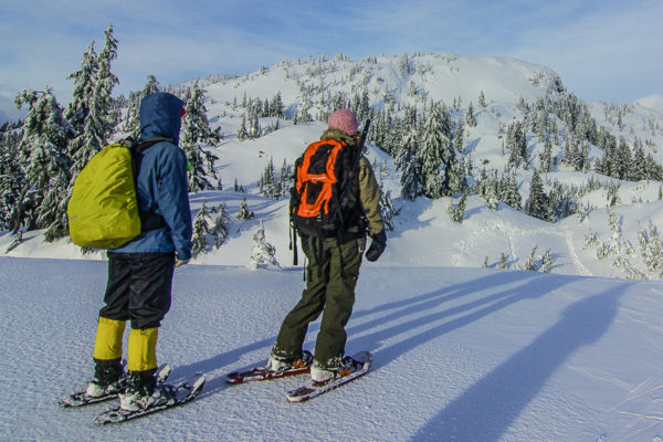Avalanche Skills course for snowshoers