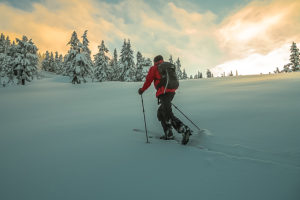 Skiing up to Elfin Lakes on the way to the Garibaldi Neve