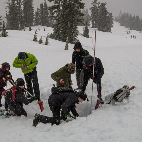 Avalanche Rescue