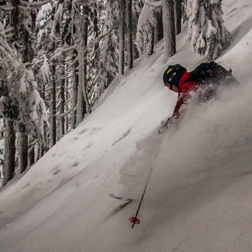 Tree skiing with Canada West Mountain School