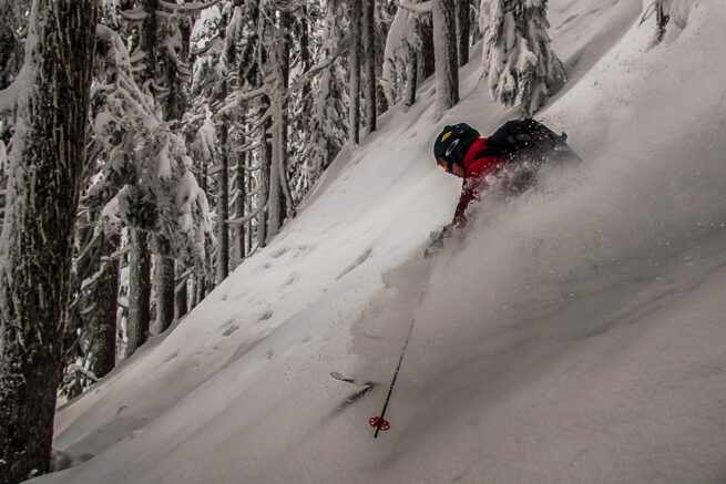 Tree skiing with Canada West Mountain School