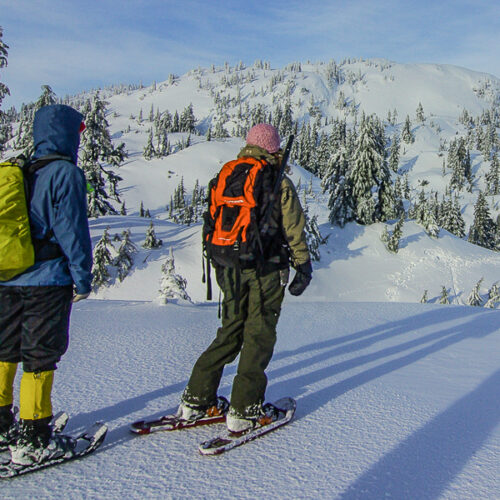 Avalanche Skills course for snowshoers